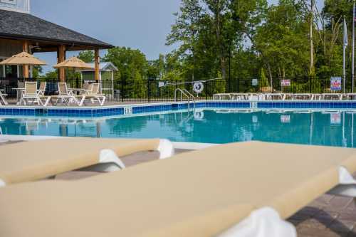 A serene pool area with lounge chairs, umbrellas, and trees in the background on a sunny day.