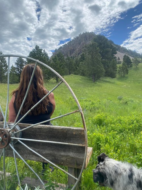 A person sits on a bench with a wagon wheel, overlooking a green landscape and a mountain, with a dog nearby.