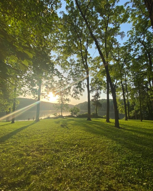 Sunlight filters through tall trees, casting shadows on a lush green lawn by a serene lake.
