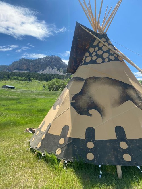 A teepee with a bear design stands in a grassy field, with a mountainous backdrop under a clear blue sky.