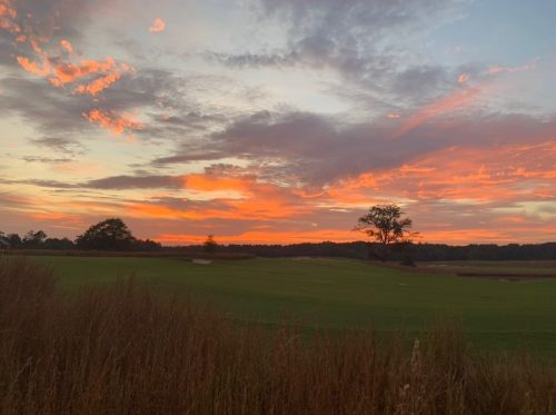 A vibrant sunset paints the sky with orange and pink hues over a grassy landscape and distant trees.
