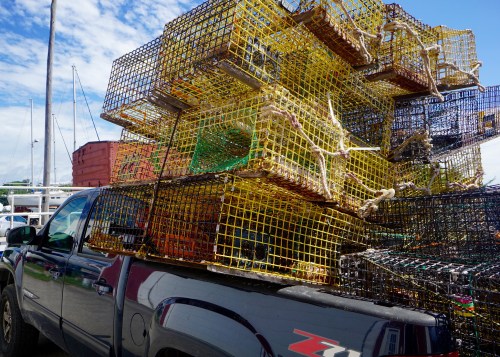 A truck loaded with colorful lobster traps stacked high against a blue sky.