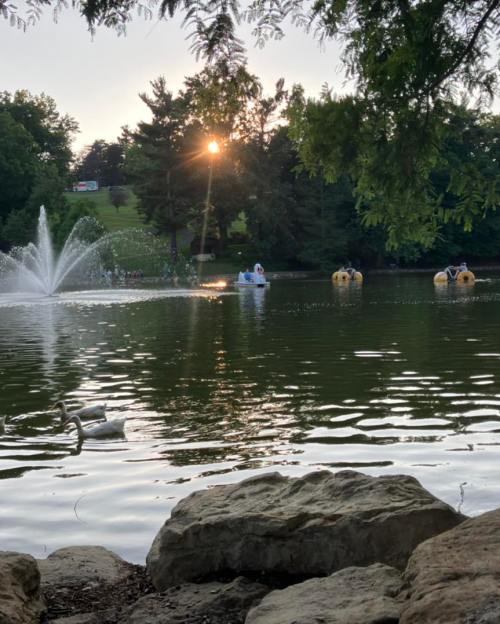 A serene lake scene with a fountain, swans, and paddle boats at sunset, surrounded by lush greenery.