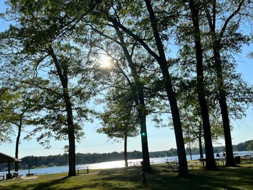 A serene lakeside scene with tall trees, sunlight filtering through leaves, and a calm water view in the background.