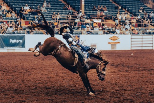 A cowboy rides a bucking horse in a rodeo arena, surrounded by an audience in the stands.
