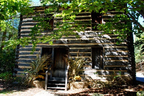 A rustic log cabin with a wooden door, surrounded by greenery and autumn decorations. Sunlight filters through the trees.