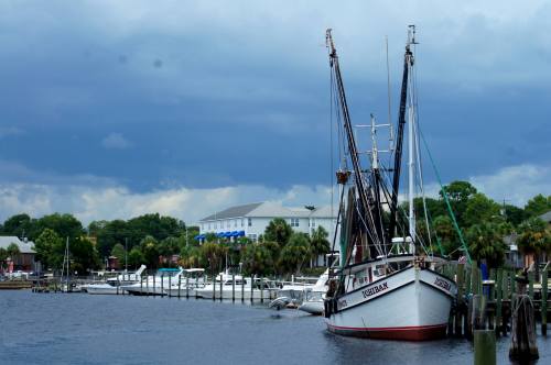 A fishing boat docked at a marina under a cloudy sky, with palm trees and buildings in the background.