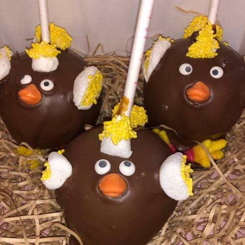 Three chocolate-covered cake pops decorated as cute birds, with candy eyes, marshmallow wings, and colorful sprinkles.