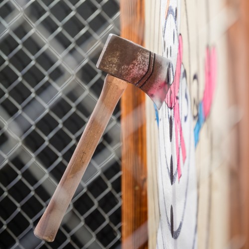 A close-up of an axe embedded in a colorful target, with a chain-link fence in the background.