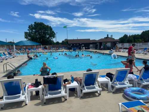 A busy outdoor pool scene with people swimming, lounging on chairs, and enjoying a sunny day.