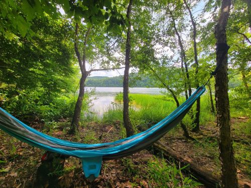A hammock hangs between trees, overlooking a serene lake surrounded by lush greenery and distant hills.