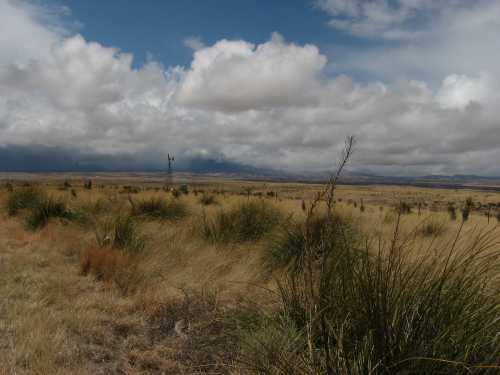 A vast, open landscape with tall grasses under a cloudy sky, featuring distant mountains and a few power lines.