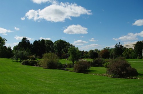 A lush green park with trees and shrubs under a bright blue sky with fluffy white clouds.