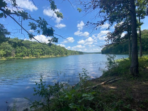 A serene lake surrounded by lush greenery and trees under a bright blue sky with fluffy clouds.