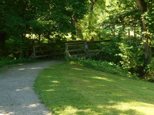 A winding path leads to a wooden bridge surrounded by lush greenery and trees.