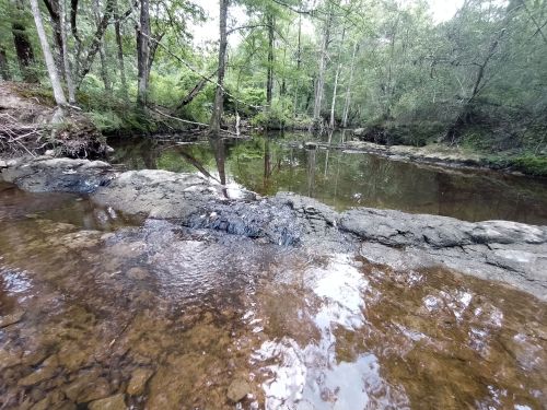 A serene forest scene featuring a calm stream with rocky banks and trees reflecting in the water.
