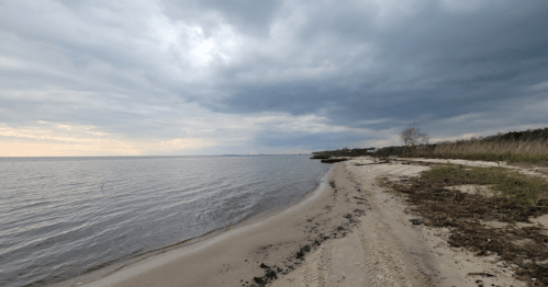 A serene beach scene with a sandy shore, calm water, and overcast skies in the distance.