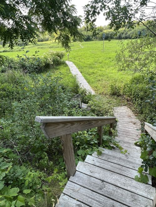 A wooden staircase leads down to a grassy field with a winding path and birdhouses in the background.