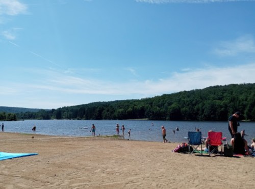 A sandy beach by a lake with people swimming and relaxing under a clear blue sky, surrounded by green trees.