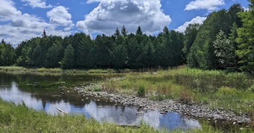 A serene landscape featuring a calm river, lush green trees, and fluffy clouds in a blue sky.