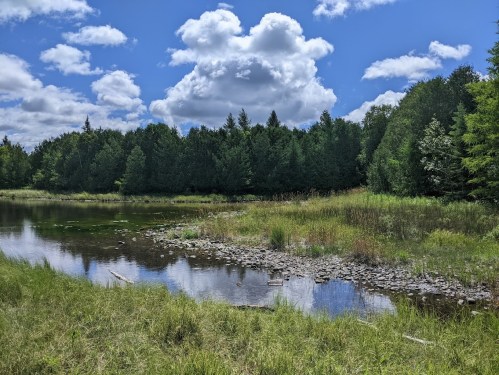 A serene landscape featuring a calm river, lush green trees, and fluffy clouds under a bright blue sky.