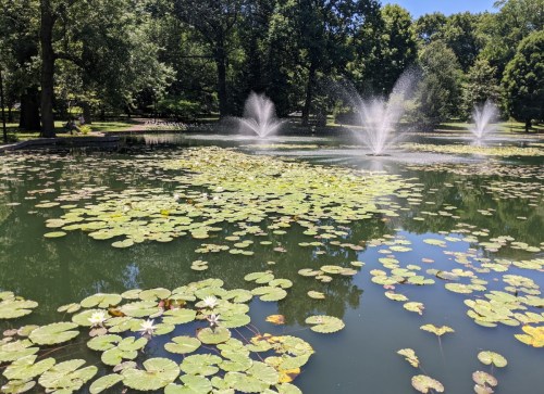 A serene pond with lily pads and three fountains spraying water, surrounded by lush greenery under a clear blue sky.