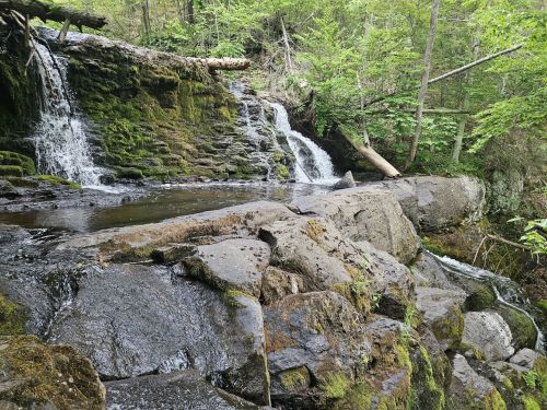 A serene waterfall cascades over moss-covered rocks, surrounded by lush green trees in a tranquil forest setting.