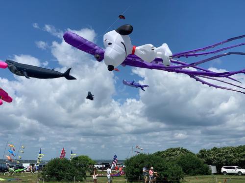 Colorful kites, including a large dog and whale, float against a cloudy sky at a kite festival.