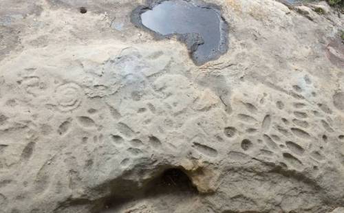 Rock surface with various fossilized footprints and a small pool of water.