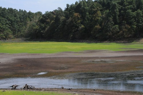 A dry lakebed with patches of green grass, surrounded by trees and a small area of water in the foreground.