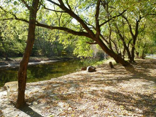A serene riverside scene with trees, fallen leaves, and a white chair by the water's edge under a clear sky.