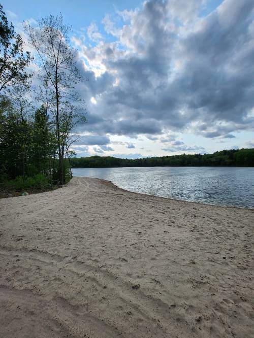 A sandy beach by a calm lake, surrounded by trees and under a cloudy sky.