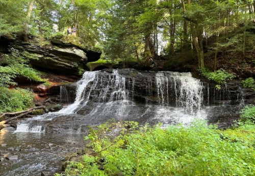 A serene waterfall cascades over rocks, surrounded by lush greenery and trees in a peaceful forest setting.