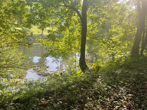 Sunlight filters through trees by a serene river, surrounded by lush greenery and a peaceful natural setting.