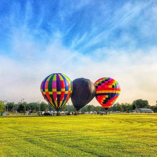 Three colorful hot air balloons on a grassy field under a blue sky with wispy clouds.