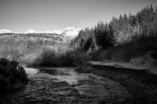 A serene black and white landscape featuring a river, trees, and snow-capped mountains in the background.