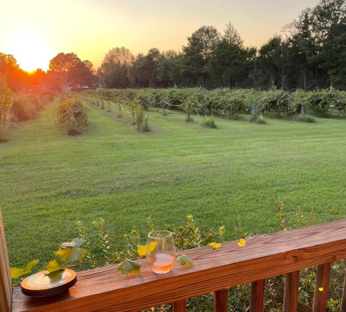 A sunset over a vineyard, with a glass of drink and a plate on a wooden railing in the foreground.
