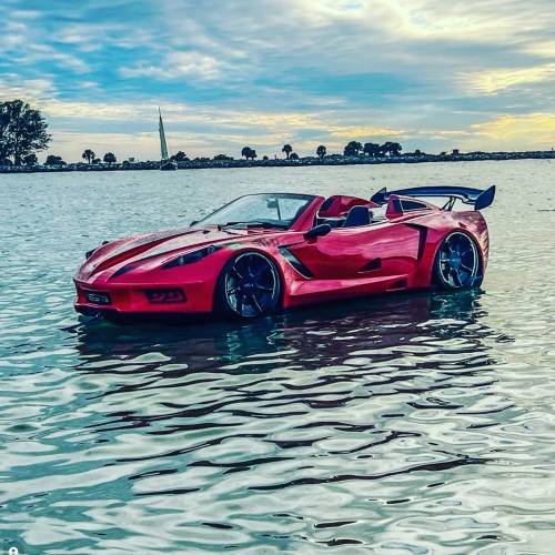 A red sports car partially submerged in water, with a scenic sky and trees in the background.