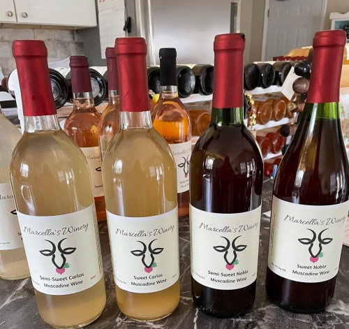 A collection of wine bottles with labels from Marcella's Winery, featuring various types of muscadine wine.