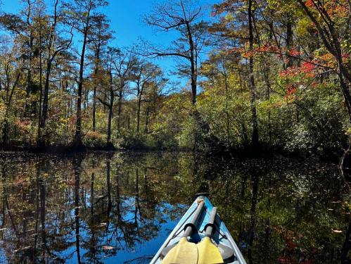 A kayak on a calm waterway surrounded by colorful autumn trees and clear blue skies. Reflections in the water.