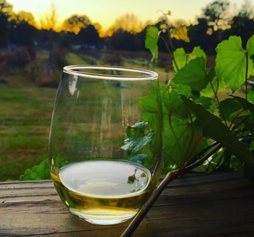 A glass of white wine sits on a wooden surface, surrounded by green leaves, with a sunset in the background.
