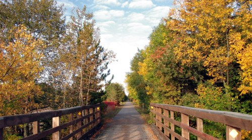 A scenic pathway lined with colorful autumn trees, leading into the distance under a blue sky.