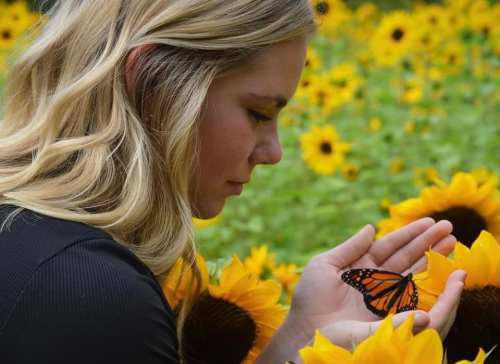 A young woman gently holds a butterfly on her hand, surrounded by vibrant sunflowers in a lush green field.