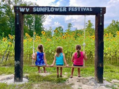 Three children sit on a swing, facing a field of sunflowers at the WV Sunflower Festival.