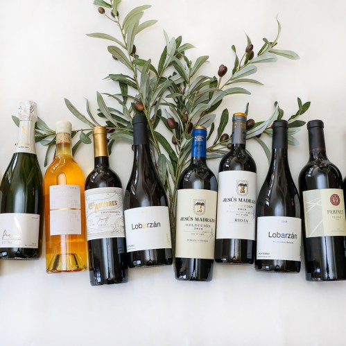 A selection of wine bottles arranged with olive branches, featuring various labels and colors.