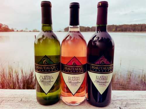 Three bottles of Chautauqua wines—Carlos (green), Blush (pink), and Noble (dark)—set against a scenic lake backdrop.