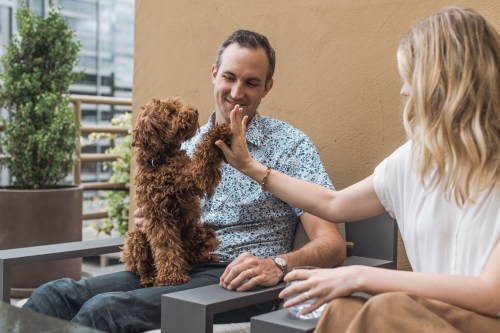A man and a woman sit outdoors, smiling as a brown dog playfully reaches for the man's hand.