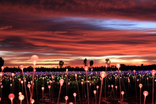 A vibrant sunset over a field of glowing, colorful lights resembling flowers against a dramatic sky.