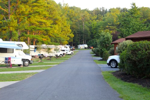 A peaceful campground with RVs parked along a tree-lined road, surrounded by greenery and a few cars.