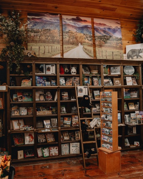 A wooden bookshelf filled with books and souvenirs, featuring scenic artwork above and a display stand on the side.